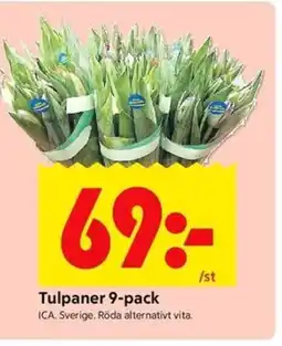 ICA Kvantum Tulpaner erbjuda