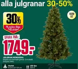 ÖoB JULGRAN HEMSEDAL erbjuda