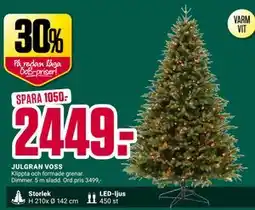 ÖoB JULGRAN VOSS erbjuda
