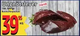 Supergrossen Ungnötslever erbjuda