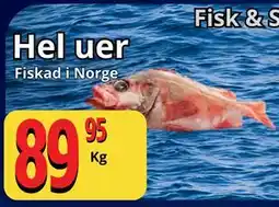 Supergrossen Hel uer erbjuda