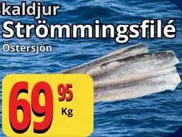 Supergrossen Strömmingsfilé erbjuda