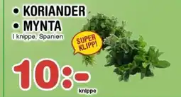 Nya Pulsen Koriander • Mynta erbjuda