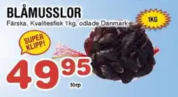 Nya Pulsen Blåmusslor erbjuda
