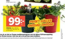 Coop Extra Julgrupp erbjuda