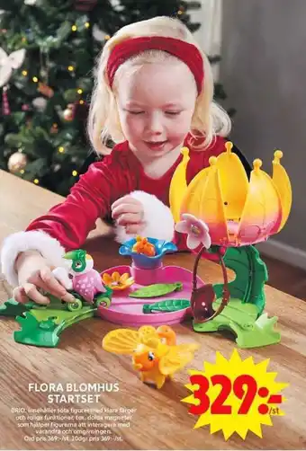 Flora blomhus startset