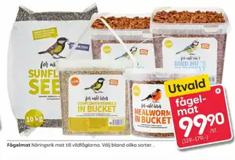 Solrosfrön