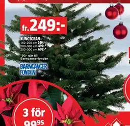 Bauhaus KUNGSGRAN erbjuda