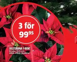 Bauhaus JULSTJÄRNA BENT erbjuda