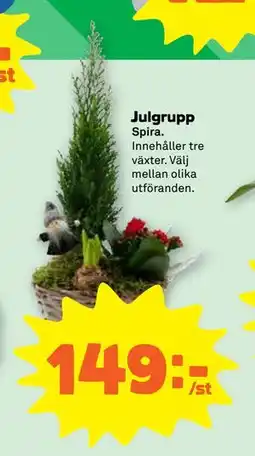 Stora Coop Julgrupp erbjuda