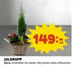 Coop JULGRUPP erbjuda