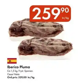 Snabbgross Iberico Pluma erbjuda