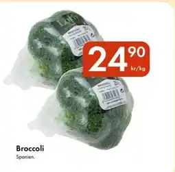 Snabbgross Broccoli Spanien. erbjuda