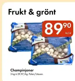 Snabbgross Champinjoner erbjuda