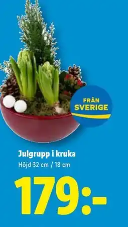 Lidl Julgrupp i kruka erbjuda