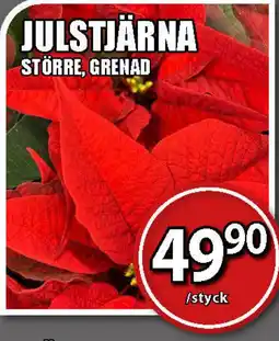 Extra Mjällby Stormarknad Julstjärna erbjuda