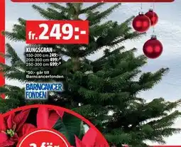 Bauhaus KUNGSGRAN erbjuda