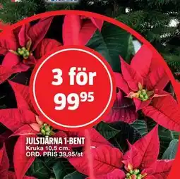 Bauhaus JULSTJÄRNA 1-BENT erbjuda