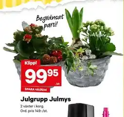 City Gross Julgrupp Julmys erbjuda