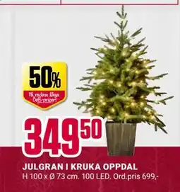 ÖoB JULGRAN I KRUKA OPPDAL erbjuda