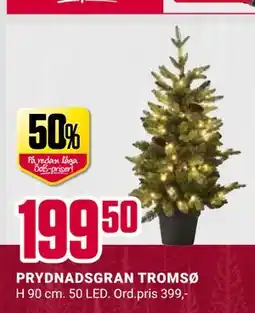 ÖoB PRYDNADSGRAN TROMSØ erbjuda