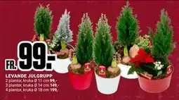 ÖoB LEVANDE JULGRUPP erbjuda