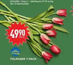 Willys Hemma TULPANER 7-PACK erbjuda