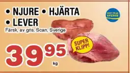 Nya Pulsen Njure • Hjärta • Lever erbjuda