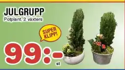 Nya Pulsen Julgrupp erbjuda