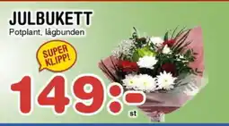 Nya Pulsen Julbukett erbjuda