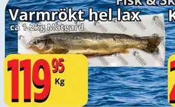 Supergrossen Varmrökt hel lax erbjuda