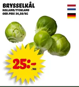 Nelins Brysselkål erbjuda