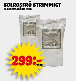 Nelins Slagbergagård Solrosfrö strimmigt erbjuda