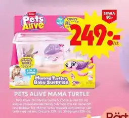 ICA Maxi Pets Alive Mama turtle erbjuda