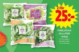 ICA Maxi ICA Finbladiga sallater i påse erbjuda