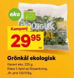 City Gross Grönkål ekologisk erbjuda