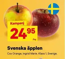 City Gross Svenska äpplen erbjuda