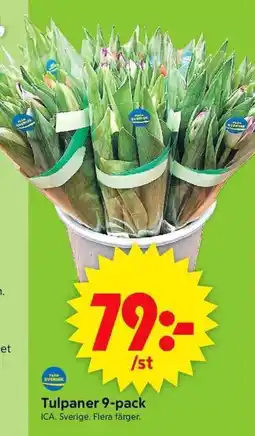 ICA Supermarket Tulpaner erbjuda