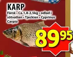 Matvärlden Tensta KARP erbjuda