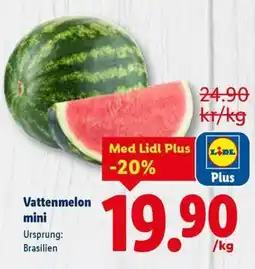 Lidl Vattenmelon mini erbjuda
