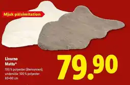 Lidl Livarno Matta erbjuda