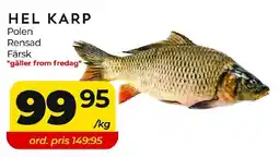 Matrix Butikerna Hel karp erbjuda