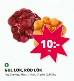 Tempo Gul lök, röd lök erbjuda