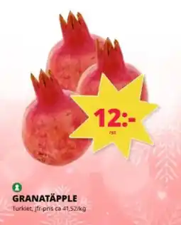 Tempo Granatäpple erbjuda