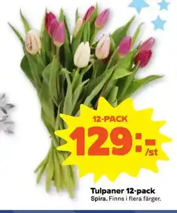 Stora Coop Tulpaner 12-pack erbjuda