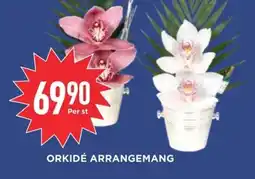 Willys Orkidé arrangemang erbjuda