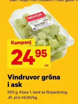 City Gross Vindruvor gröna i ask erbjuda