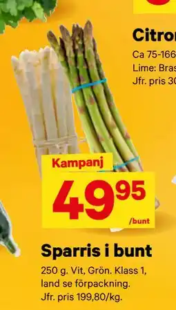 City Gross Sparris i bunt erbjuda