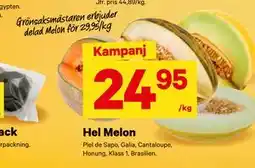 City Gross delad Melon erbjuda