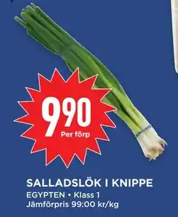 Willys Hemma SALLADSLÖK I KNIPPE erbjuda